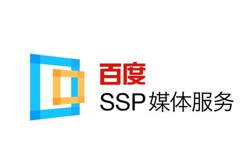 蜘蛛池的搭建步骤与注意事项